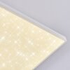 Tavlov Plafoniera, Panel LED Bianco, 1-Luce
