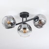 Ripoll Plafoniera, Lampada a sfera Chiaro, Grigio fumo, 3-Luci