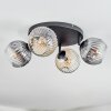 Ripoll Plafoniera, Lampada a sfera Ambrato, Chiaro, Grigio fumo, 4-Luci