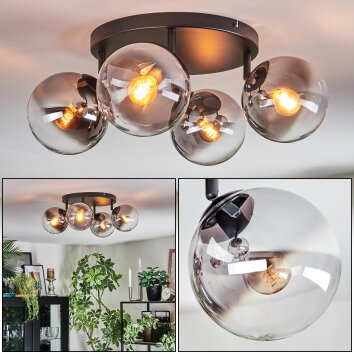 Gastor Plafoniera, Lampada a sfera Chiaro, Grigio fumo, 4-Luci