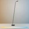 Illuminazione Paul Neuhaus BENTE Lampada da terra LED Nero, 1-Luce