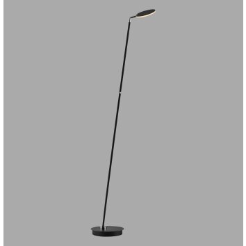 Illuminazione Paul Neuhaus BENTE Lampada da terra LED Nero, 1-Luce