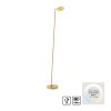Illuminazione Paul Neuhaus BENTE Lampada da terra LED Ottone, 1-Luce