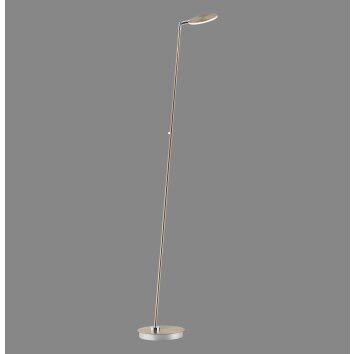 Illuminazione Paul Neuhaus BENTE Lampada da terra LED Ottone, 1-Luce