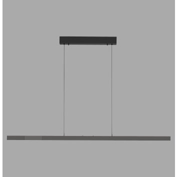 Illuminazione Paul Neuhaus Lift Lampada a sospensione LED Antracite, 3-Luci