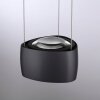 Paul Neuhaus Q-Serie Q-STRETTO Lampada a sospensione LED Nero, 2-Luci, Telecomando