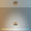 Paul Neuhaus Q-Serie Q-STRETTO Lampada a sospensione LED Bronzo, 2-Luci, Telecomando