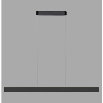 Paul Neuhaus Q-Serie Q-STRETTO Lampada a sospensione LED Nero, 2-Luci, Telecomando