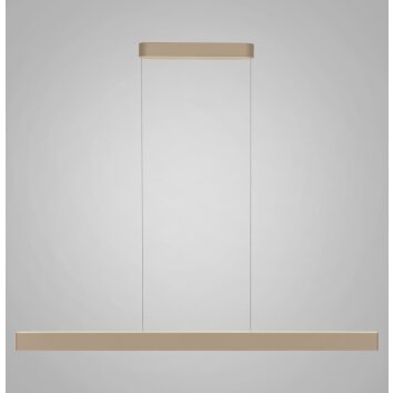 Paul Neuhaus Q-Serie Q-STRETTO Lampada a sospensione LED Bronzo, 2-Luci, Telecomando