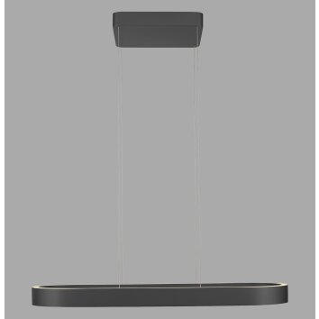 Paul Neuhaus Q-Serie Q-STRETTO Lampada a sospensione LED Nero, 2-Luci, Telecomando