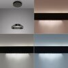 Paul Neuhaus Q-Serie Q-STRETTO Lampada a sospensione LED Nero, 2-Luci, Telecomando