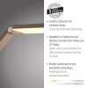 Illuminazione Paul Neuhaus SAMSKY Lampada da terra LED Bronzo, 1-Luce