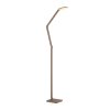 Illuminazione Paul Neuhaus SAMSKY Lampada da terra LED Bronzo, 1-Luce