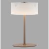 Illuminazione Paul Neuhaus MARIKA Lampada da tavolo LED Sabbia, 1-Luce