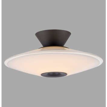 Illuminazione Paul Neuhaus ELIPSA Plafoniera LED Nero, 1-Luce