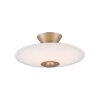 Illuminazione Paul Neuhaus ELIPSA Plafoniera LED Bronzo, 1-Luce