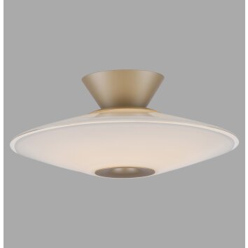 Illuminazione Paul Neuhaus ELIPSA Plafoniera LED Bronzo, 1-Luce