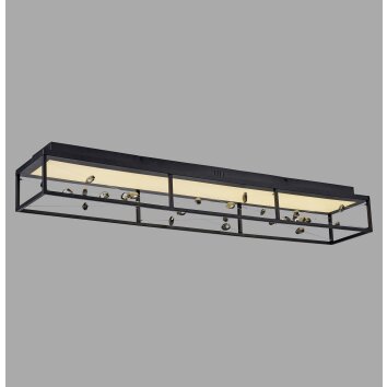 Illuminazione Paul Neuhaus SKINA Plafoniera LED Nero, 1-Luce, Telecomando