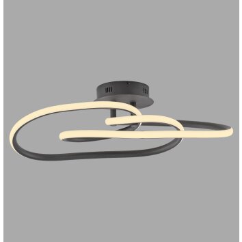 Illuminazione Paul Neuhaus TWIST Plafoniera LED Nero, 1-Luce