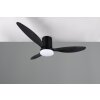 Illuminazione Reality mit Lampada con ventilatore LED Nero, 1-Luce, Telecomando