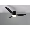 Illuminazione Reality mit Lampada con ventilatore LED Nero, 1-Luce, Telecomando