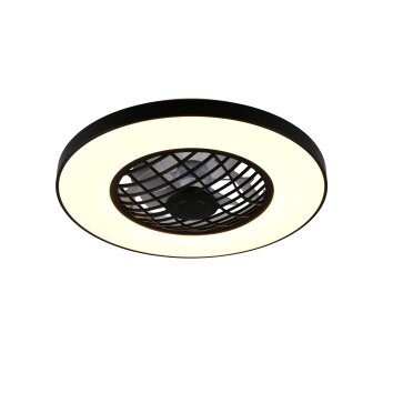 Illuminazione Reality mit Lampada con ventilatore LED Nero, 2-Luci, Telecomando, Cambia colore