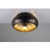 Illuminazione Reality mit Lampada con ventilatore Nero-Oro, 3-Luci, Telecomando