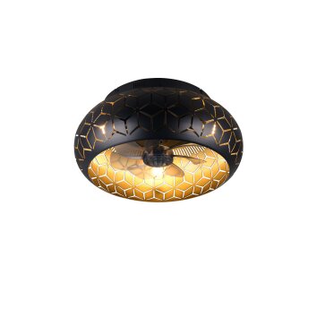 Illuminazione Reality mit Lampada con ventilatore Nero-Oro, 3-Luci, Telecomando