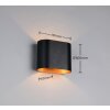 Illuminazione Trio Leuchten Alani Applique Nero-Oro, 1-Luce
