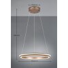 Illuminazione Trio Leuchten Amador Lampada a sospensione LED Marrone, 1-Luce