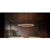 Illuminazione Trio Leuchten Amador Lampada a sospensione LED Marrone, 1-Luce