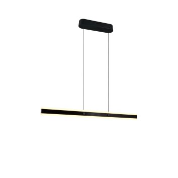 Illuminazione Trio Leuchten Arcola Lampada a sospensione LED Nero, 1-Luce