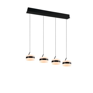 Illuminazione Trio Leuchten Dios Lampada a sospensione LED Nero, 4-Luci