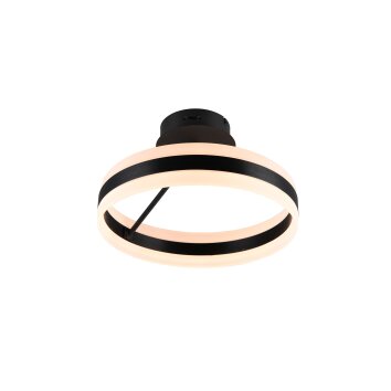 Illuminazione Trio Leuchten Dios Plafoniera LED Nero, 1-Luce