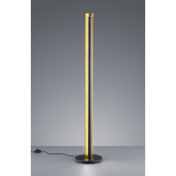 Trio-Leuchten Texel Lampada da terra LED Nero, 1-Luce