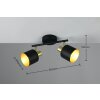 Illuminazione Trio Leuchten Eva Faretto da soffitto Nero-Oro, 2-Luci