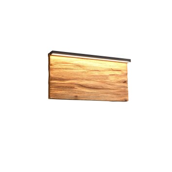 Illuminazione Trio Leuchten Kalea Applique LED Legno chiaro, 1-Luce