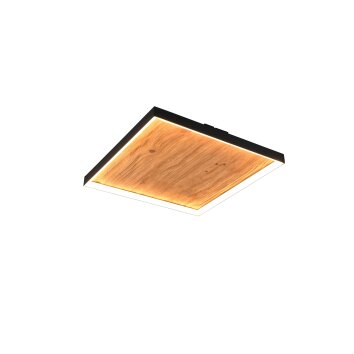 Illuminazione Trio Leuchten Kalea Plafoniera LED Legno chiaro, 1-Luce
