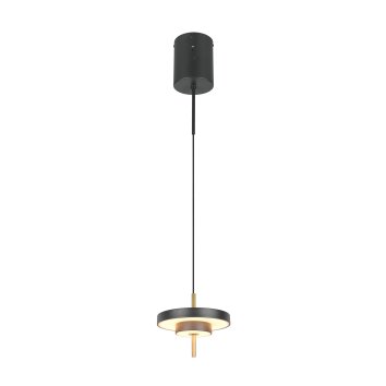 Illuminazione Trio Leuchten KEATON Lampada a sospensione LED Nero-Oro, 1-Luce