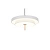 Illuminazione Trio Leuchten KEATON Lampada a sospensione LED Grigio, 1-Luce