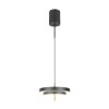 Illuminazione Trio Leuchten KEATON Lampada a sospensione LED Nero-Oro, 1-Luce