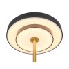 Illuminazione Trio Leuchten KEATON Lampada da tavolo LED Nero-Oro, 1-Luce