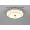 Illuminazione Trio Leuchten KEATON Plafoniera LED Grigio, 1-Luce