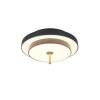 Illuminazione Trio Leuchten KEATON Plafoniera LED Nero-Oro, 1-Luce
