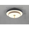 Illuminazione Trio Leuchten KEATON Plafoniera LED Nero-Oro, 1-Luce