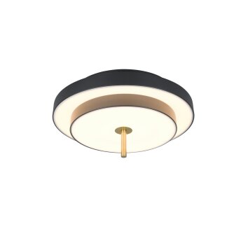 Illuminazione Trio Leuchten KEATON Plafoniera LED Nero-Oro, 1-Luce