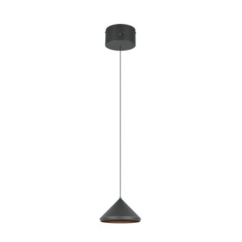Illuminazione Trio Leuchten Laguna Lampada a sospensione LED Nero, 1-Luce