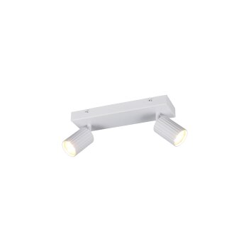 Illuminazione Trio Leuchten Soka Faretto da soffitto Bianco, 2-Luci