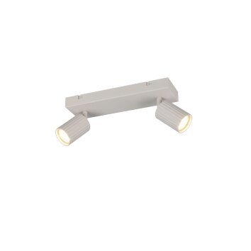 Illuminazione Trio Leuchten Soka Faretto da soffitto Grigio, 2-Luci