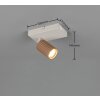 Illuminazione Trio Leuchten Soka Faretto da soffitto Marrone, 1-Luce